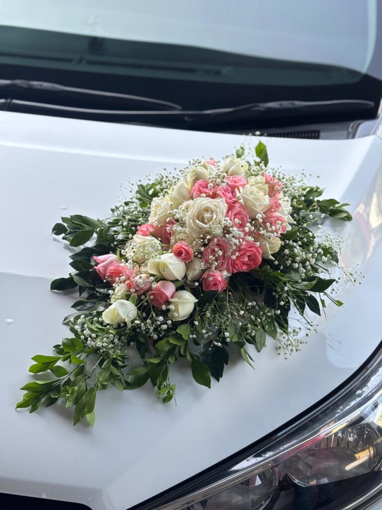 WhatsApp Image 2026-01-16 at 2.55.58 PM